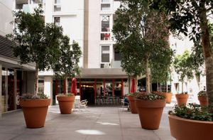 Tribeca Serviced Apartments - Dalby Accommodation