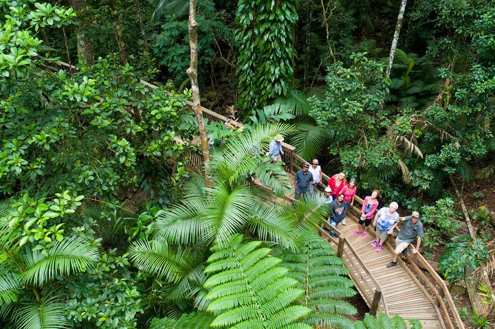 3 Day Great Barrier Reef, Daintree Rainforest And Outback Chillagoe Tour - Dalby Accommodation