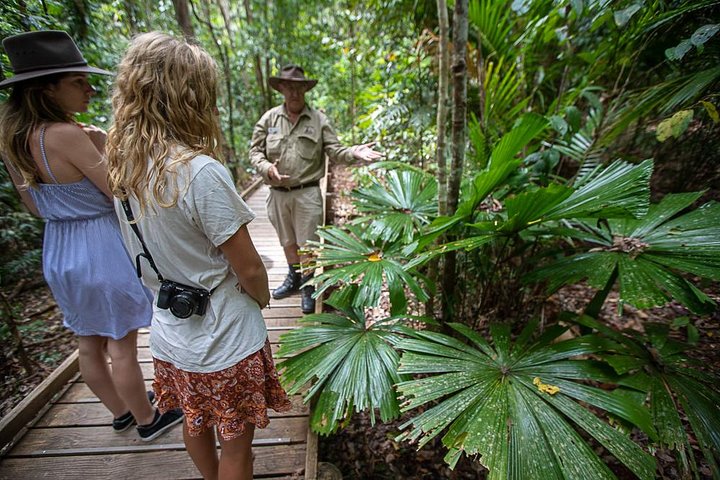 2 Day Daintree Rainforest, Cape Tribulation And Outback Chillagoe Tour - Dalby Accommodation